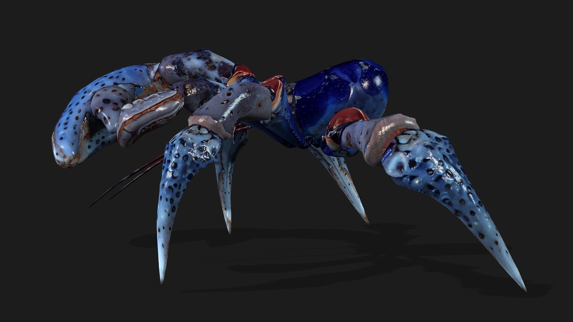 Crab-A3 Low-poly 3D model_4