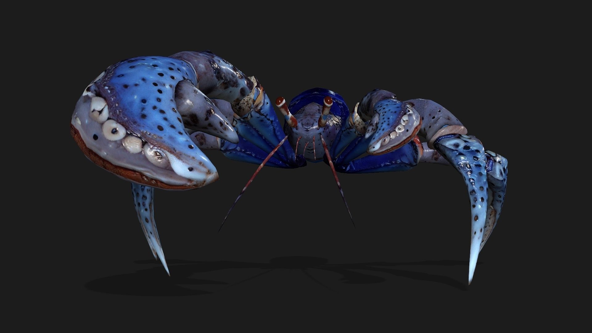 Crab-A3 Low-poly 3D model_3