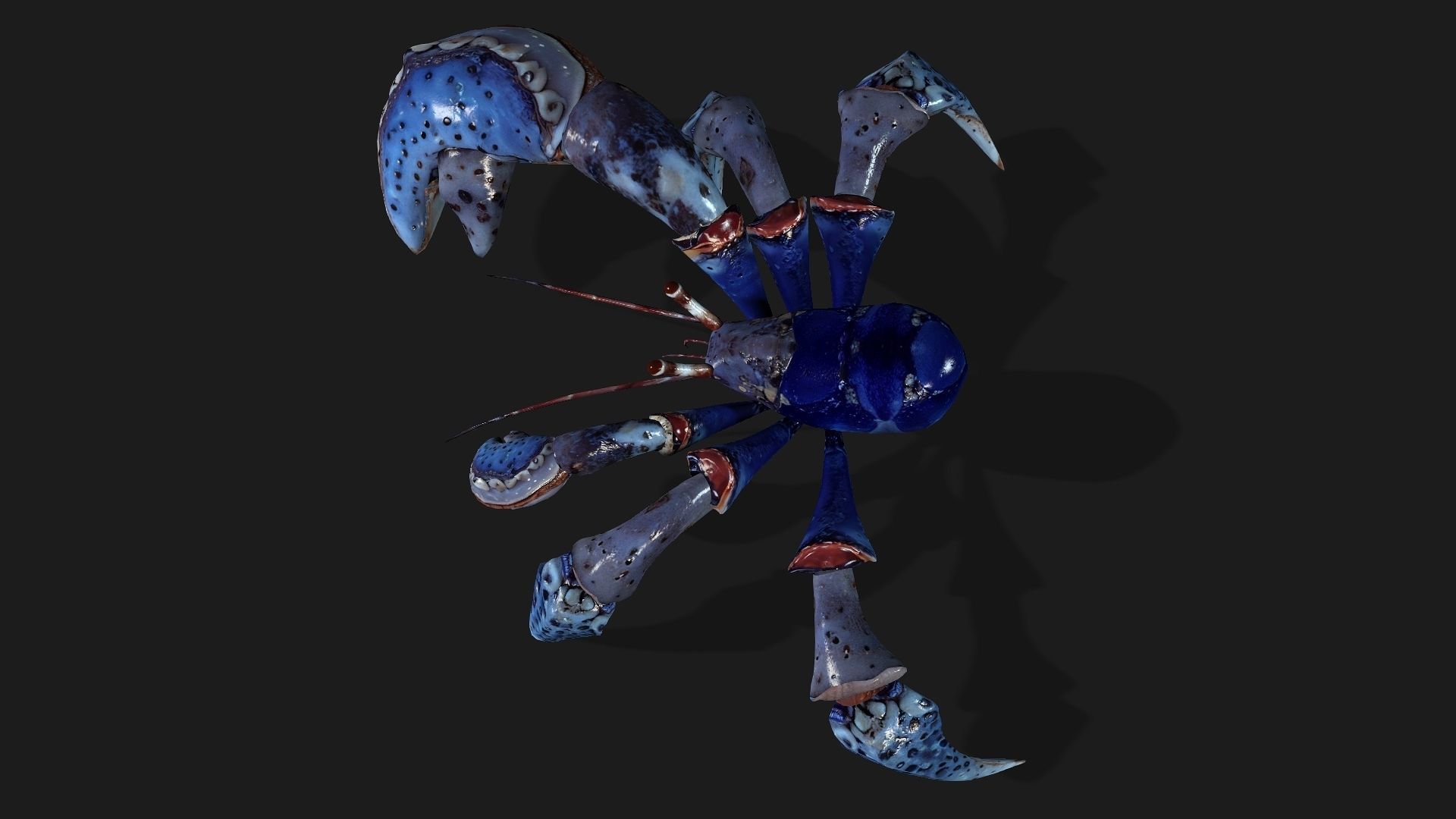 Crab-A3 Low-poly 3D model_7
