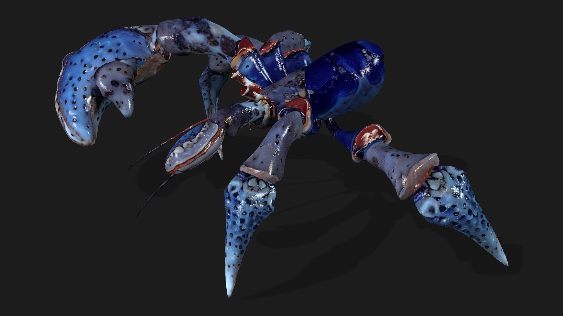 Crab-A3 Low-poly 3D model_5