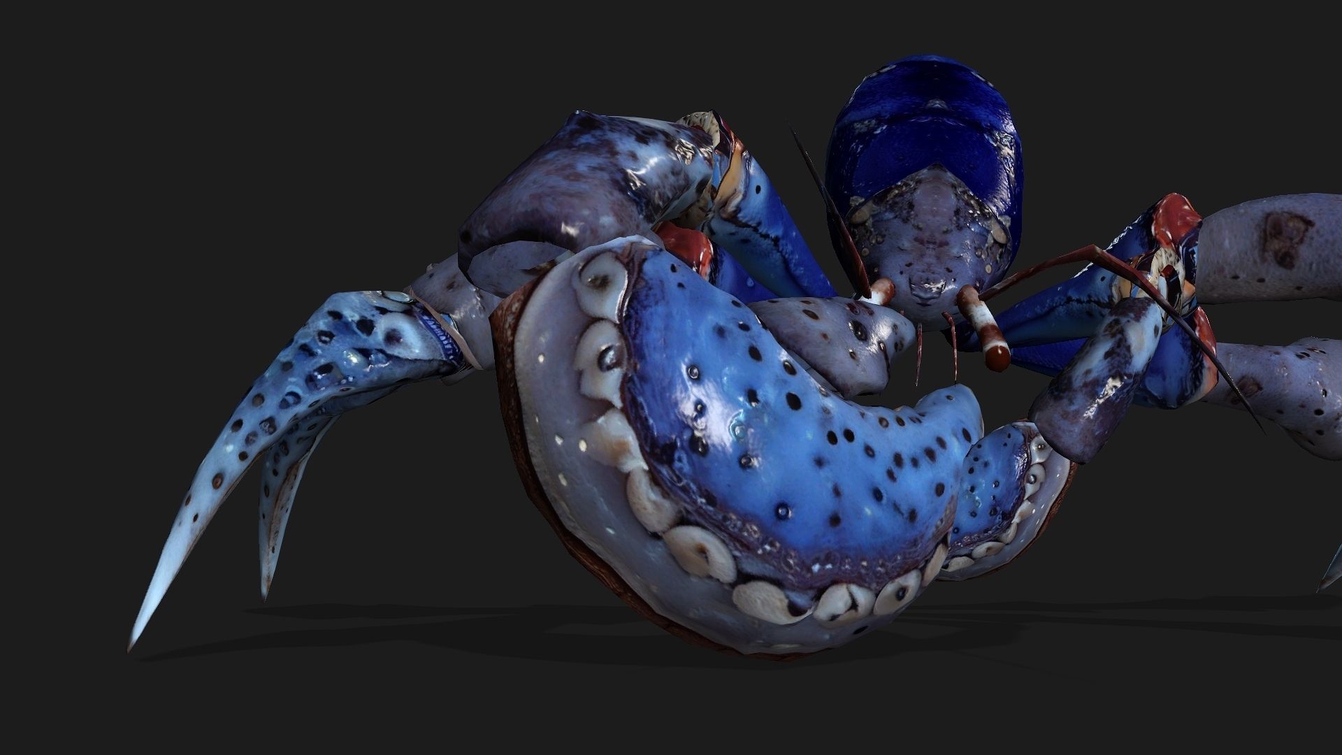 Crab-A3 Low-poly 3D model_8