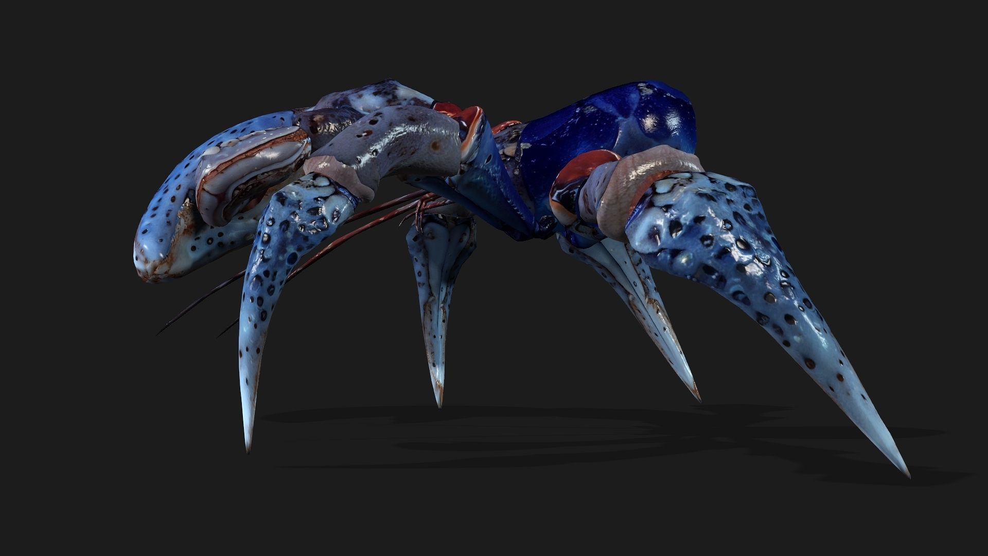 Crab-A3 Low-poly 3D model_11