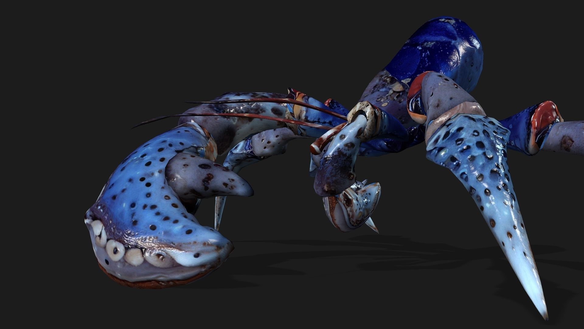 Crab-A3 Low-poly 3D model_9