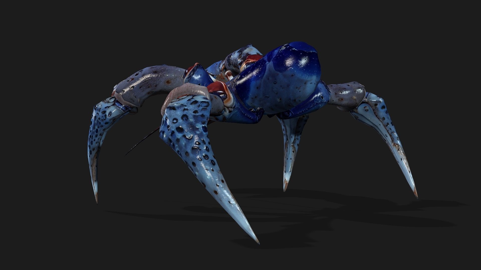 Crab-A3 Low-poly 3D model_6
