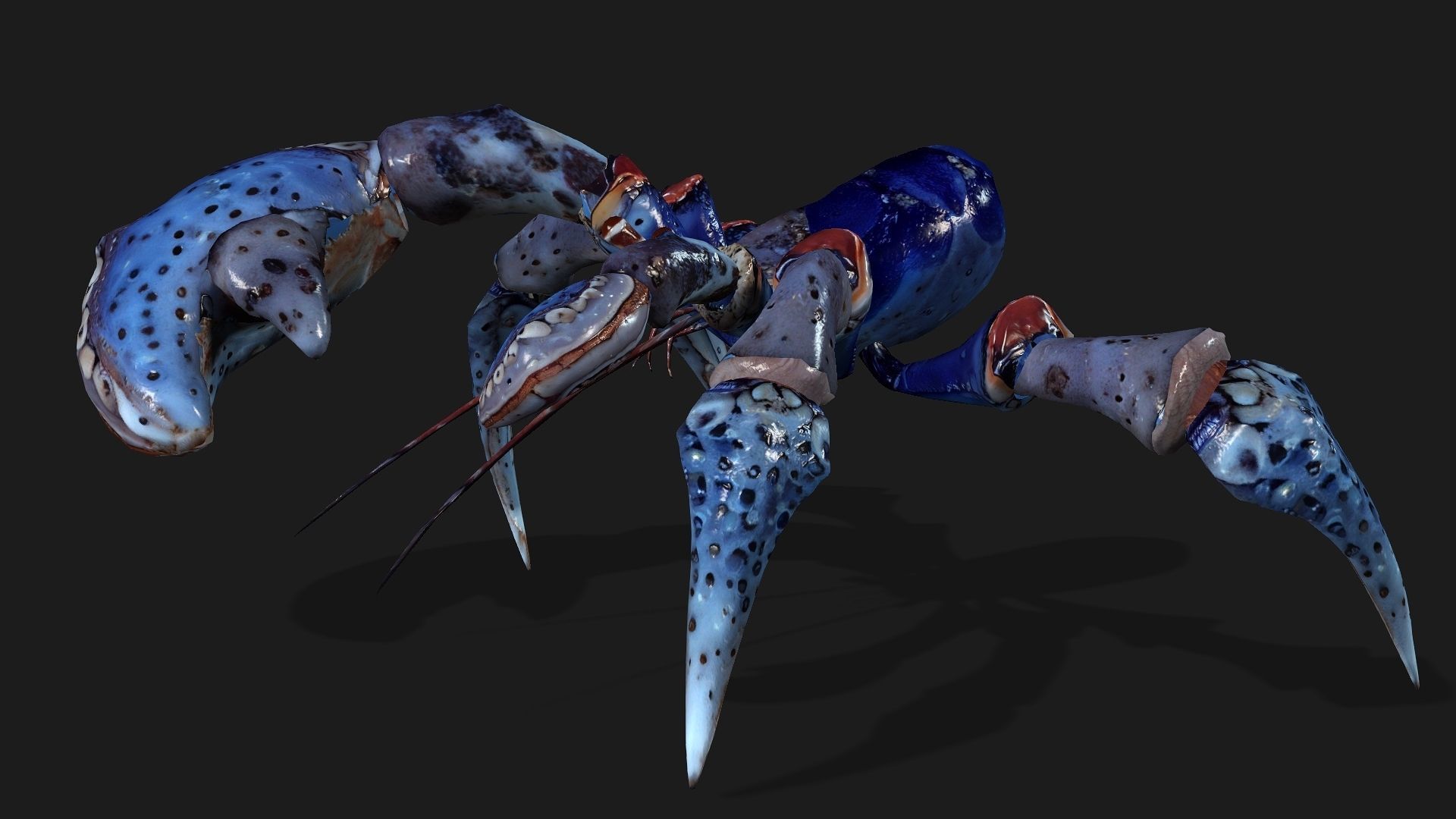 Crab-A3 Low-poly 3D model_2