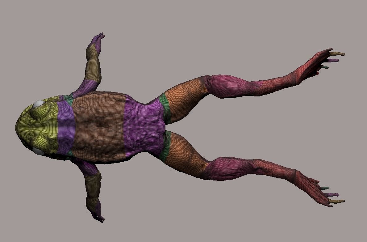 Realistic Frog 3D print model_1