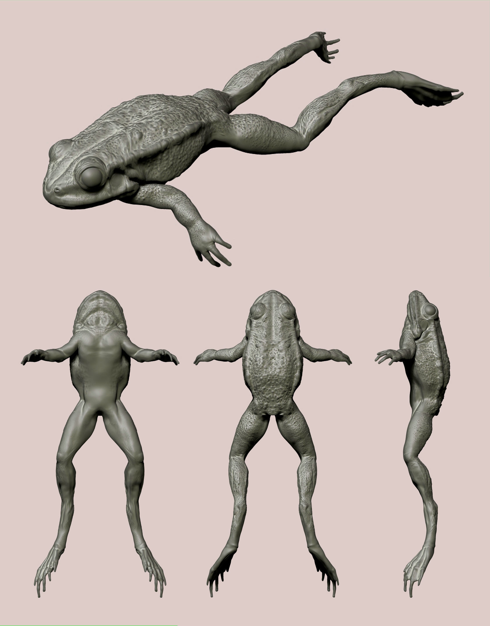 Realistic Frog 3D print model_4