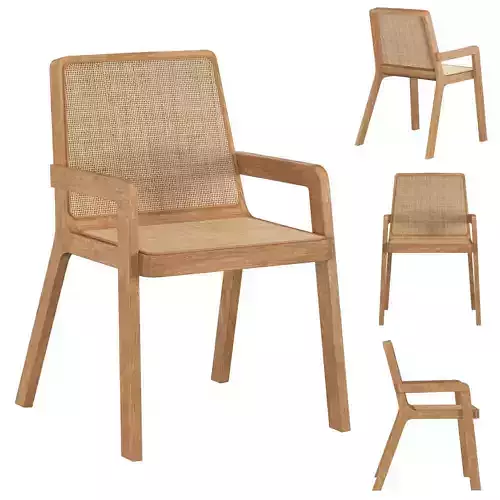 SANTIAGO DINING ARMCHAIR