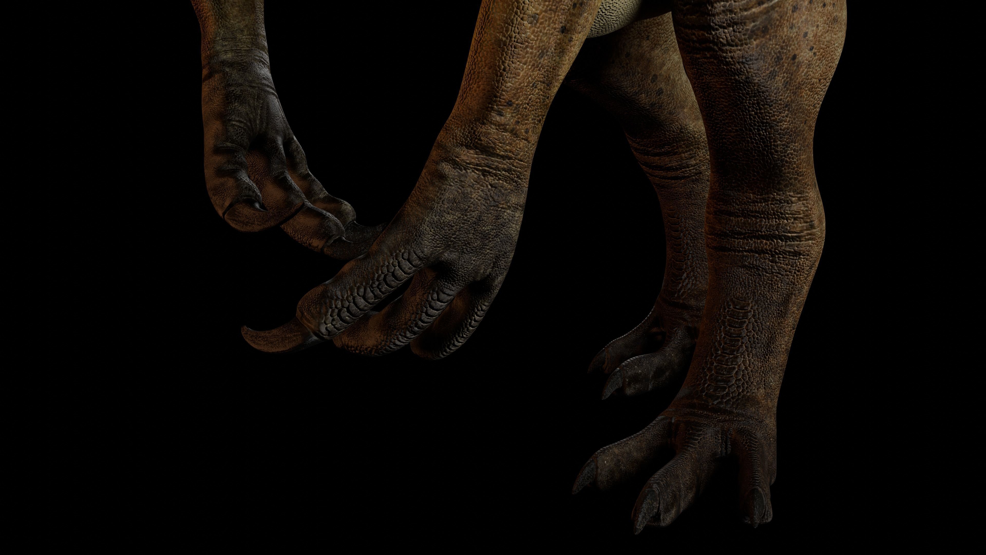 Allosaurus fragilis 2024 Version Low-poly 3D model_4