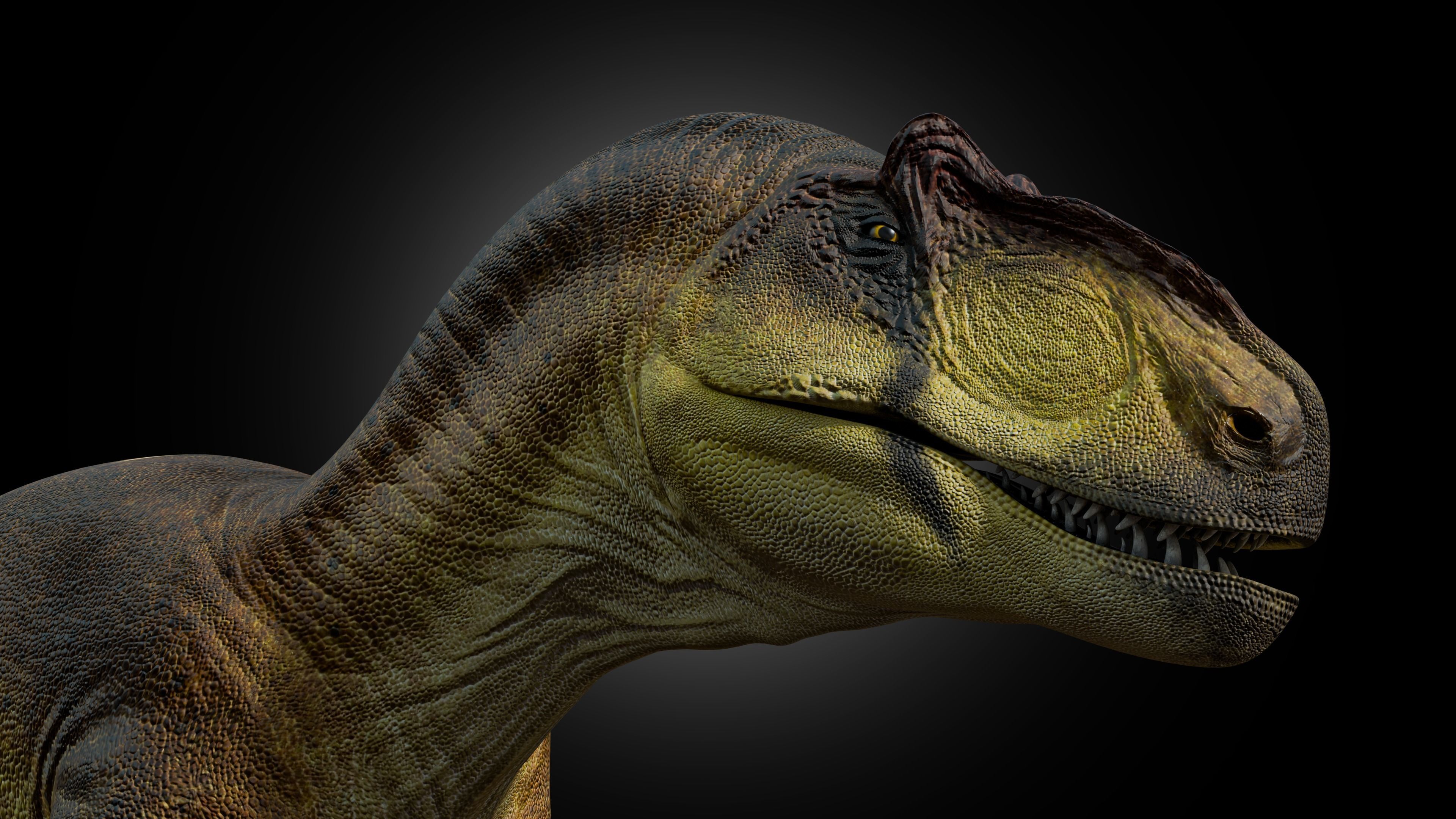 Allosaurus fragilis 2024 Version Low-poly 3D model_2