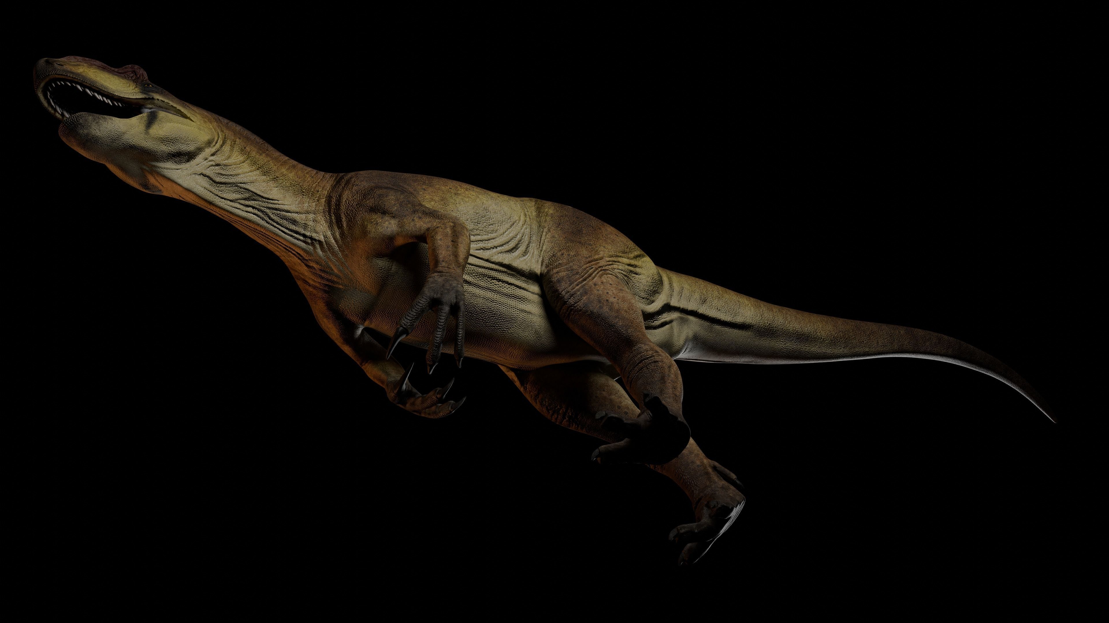 Allosaurus fragilis 2024 Version Low-poly 3D model_5