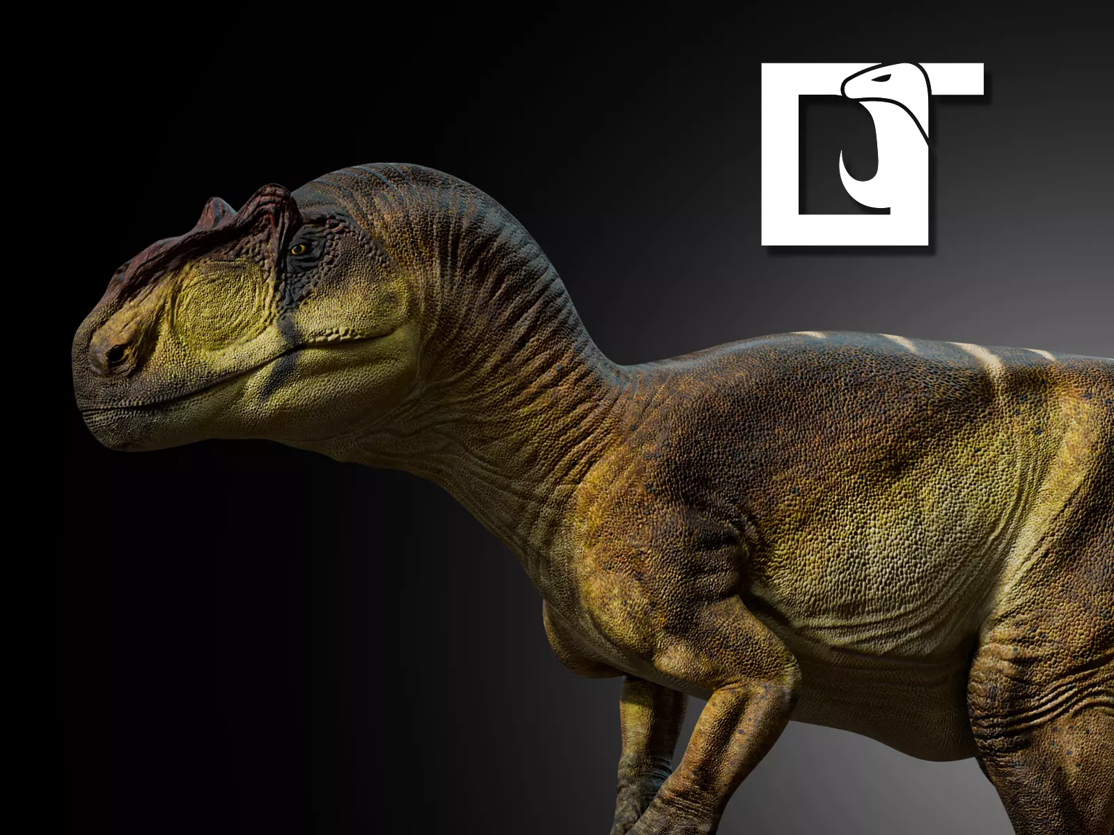 Allosaurus fragilis 2024 Version Low-poly 3D model_0