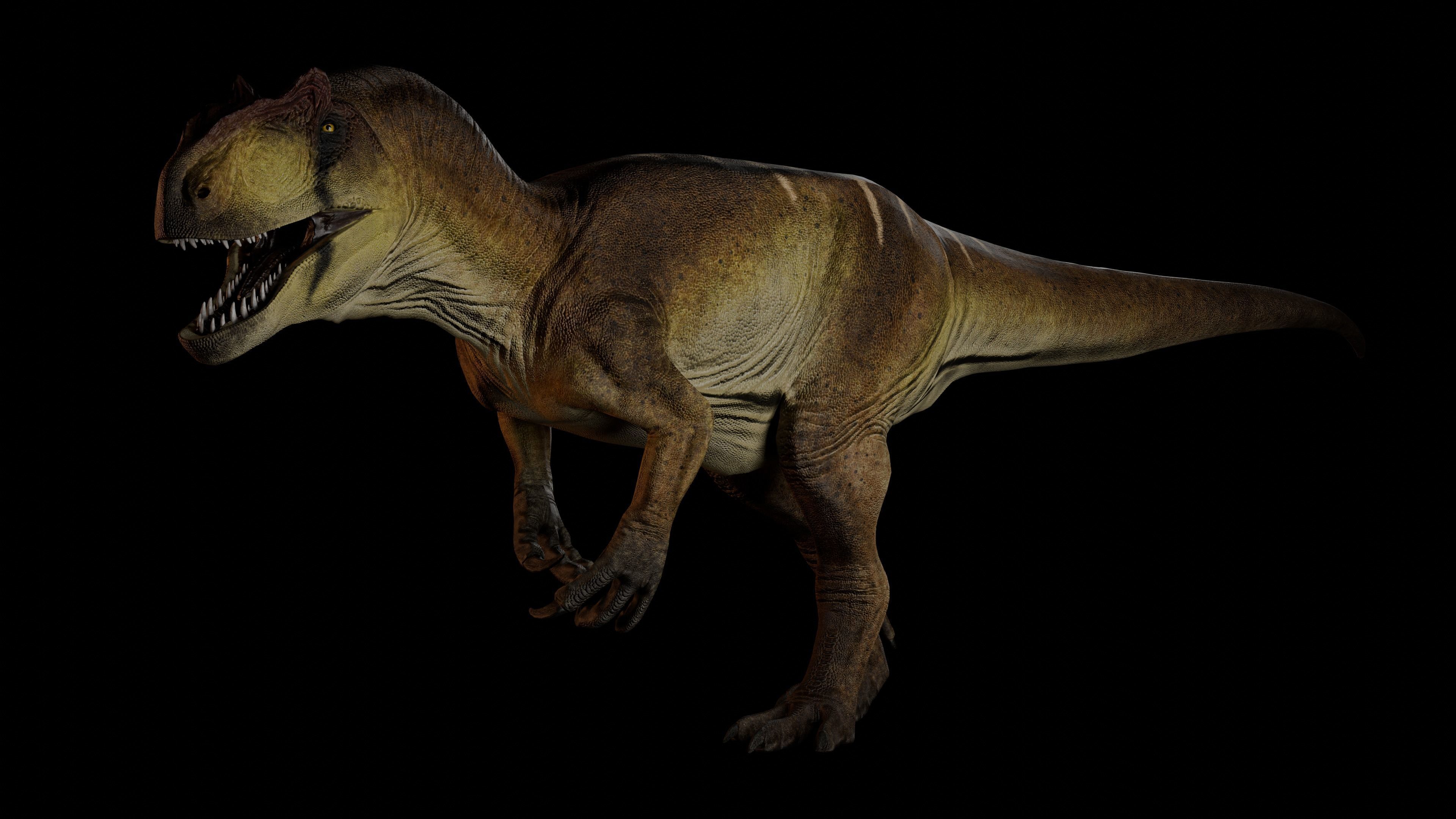 Allosaurus fragilis 2024 Version Low-poly 3D model_6