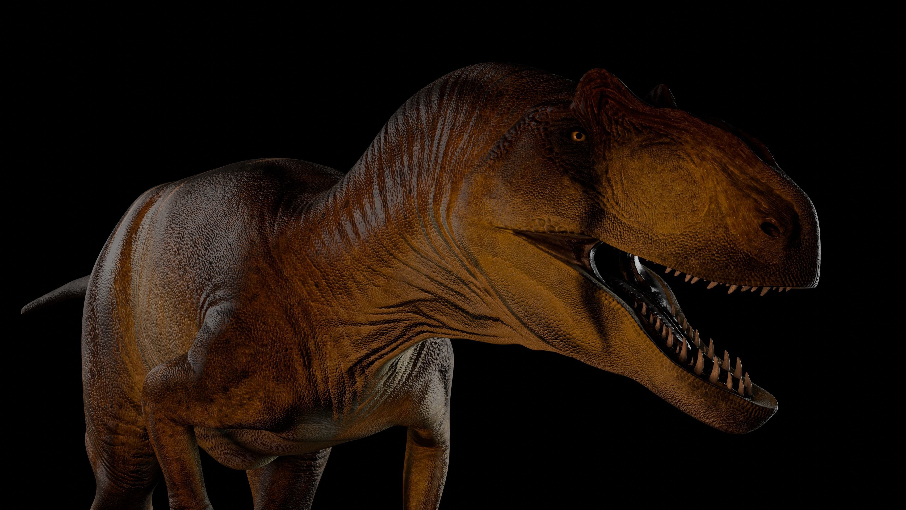 Allosaurus fragilis 2024 Version Low-poly 3D model_3