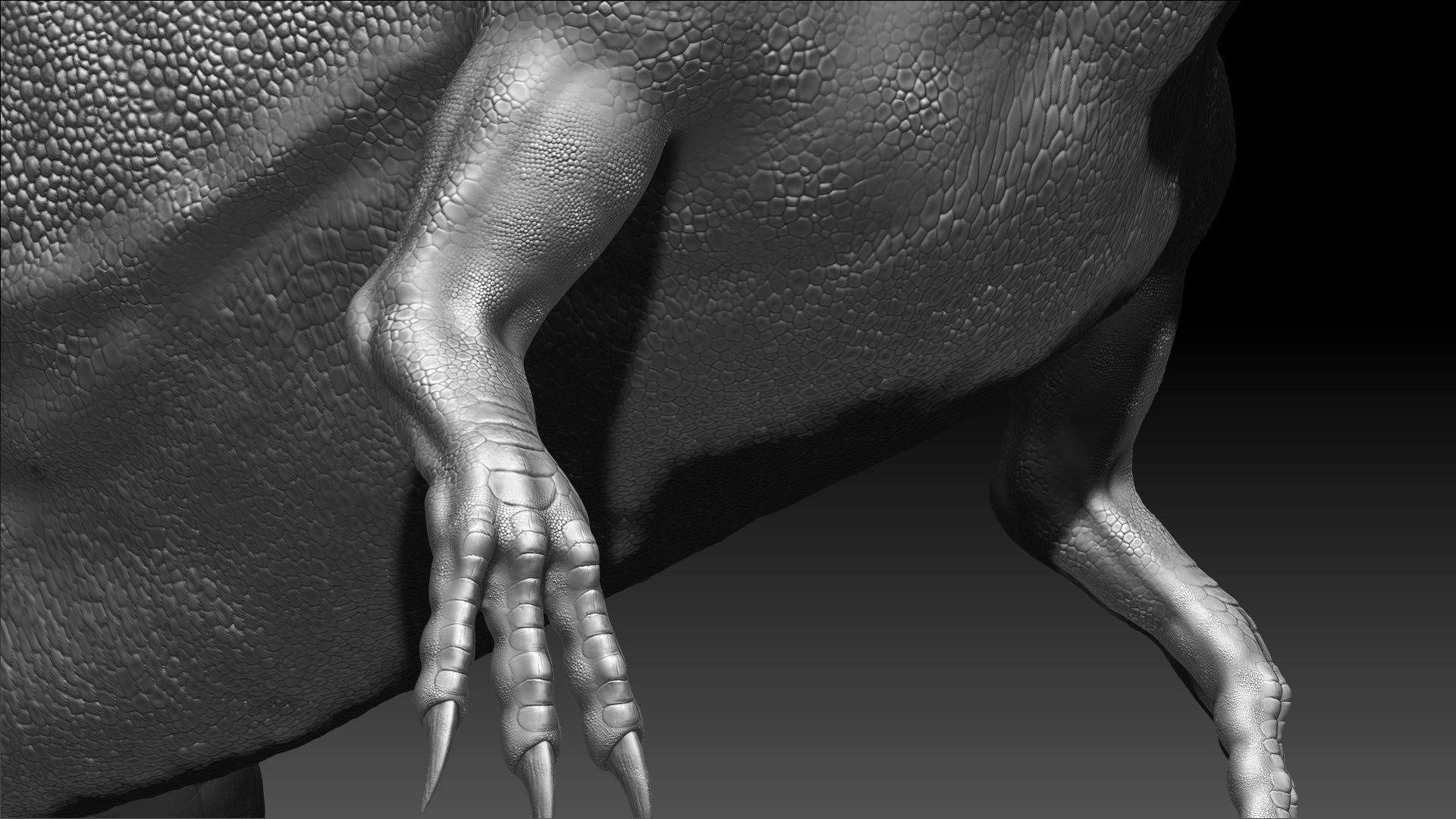 Dinosaur Carcharodontosaurus Sculpt Project 3D model_6