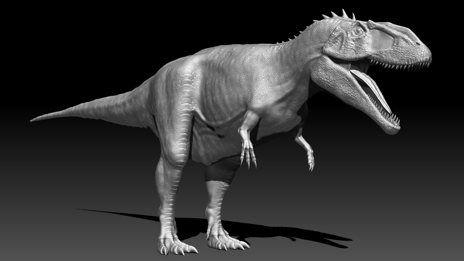 Dinosaur Carcharodontosaurus Sculpt Project 3D model_8