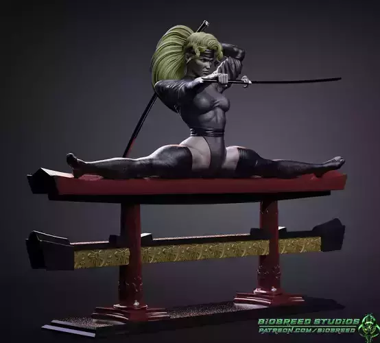 Continuity Comics Samuree Mistress of the Martial Arts 3D print model