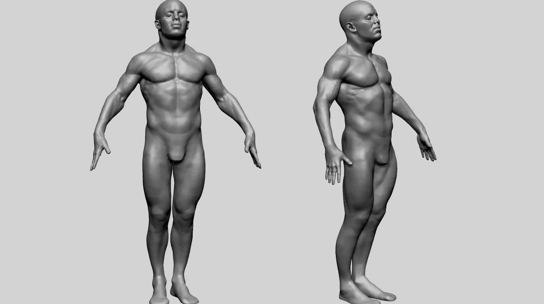 Male Anatomy G 3D model_0