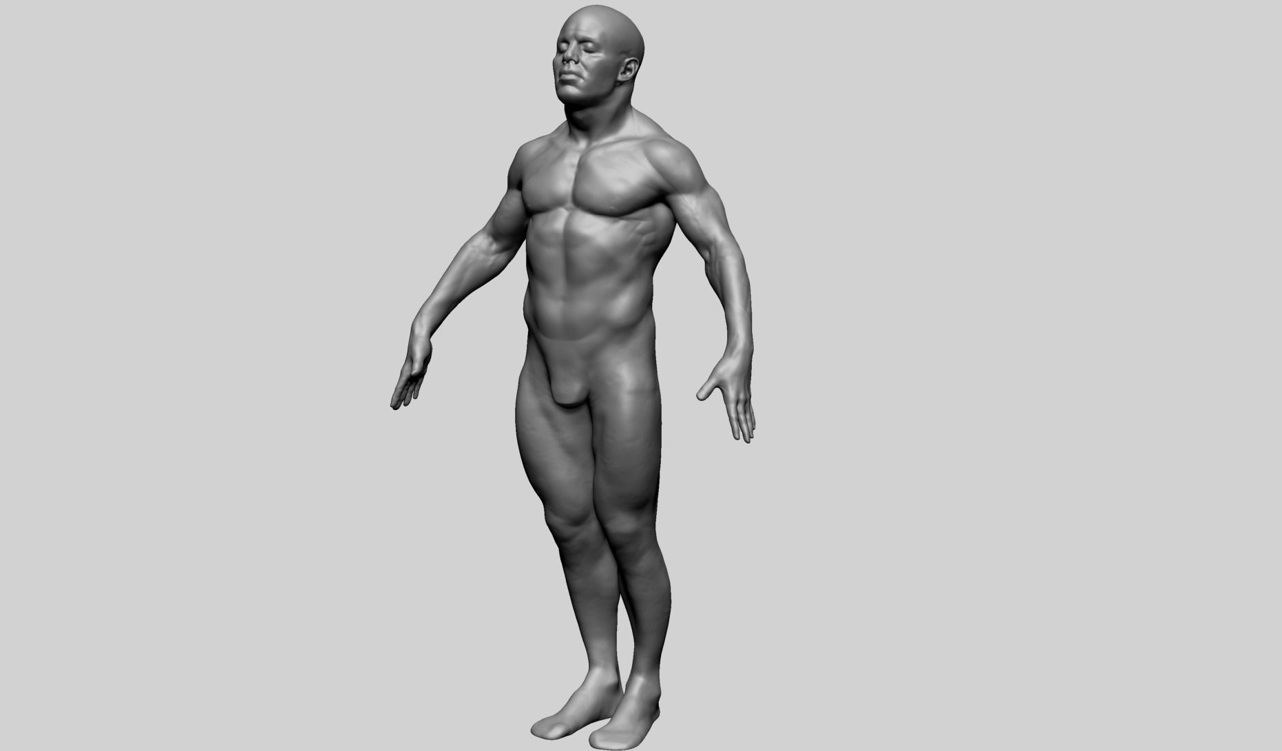 Male Anatomy G 3D model_8