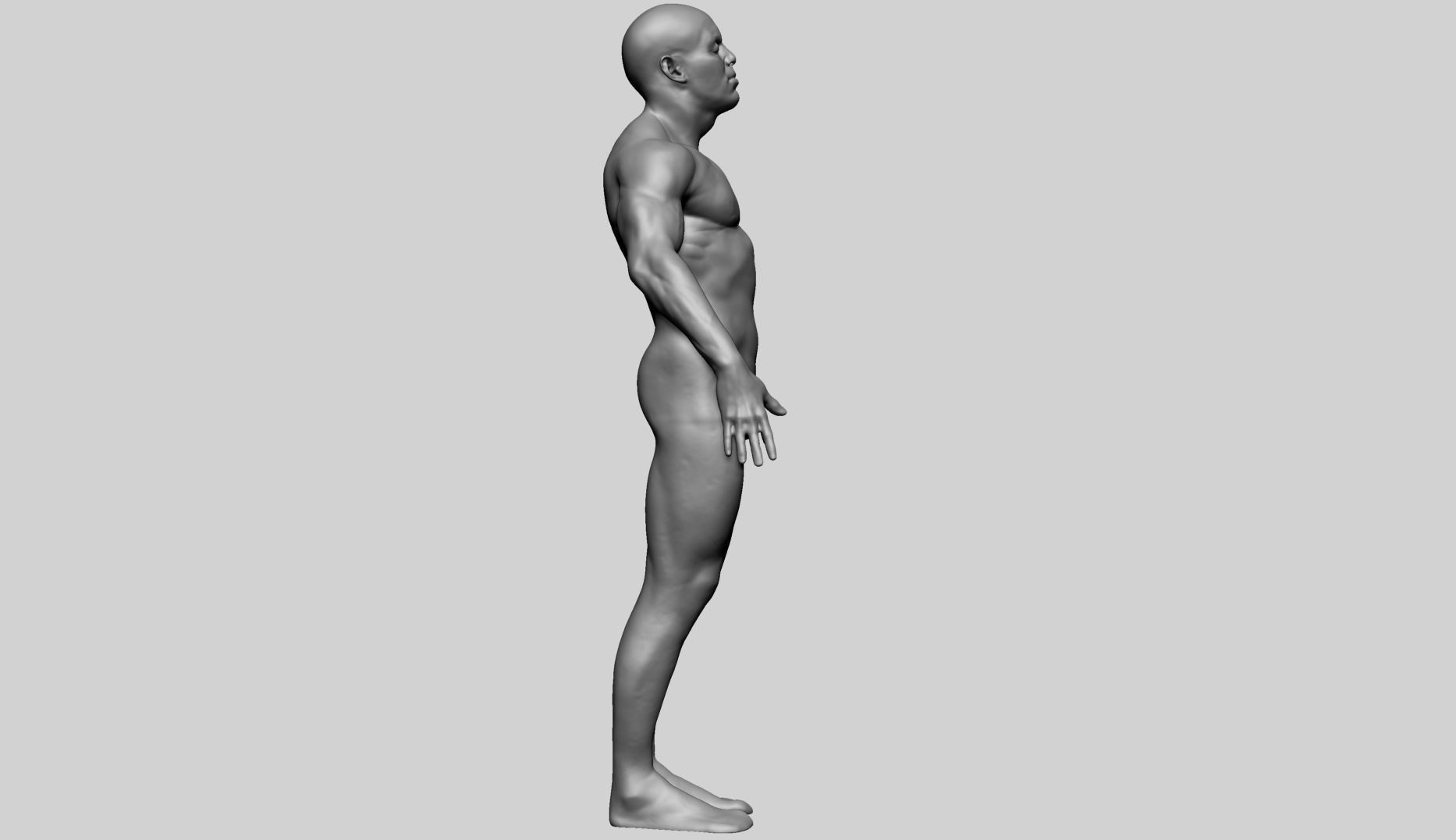 Male Anatomy G 3D model_3