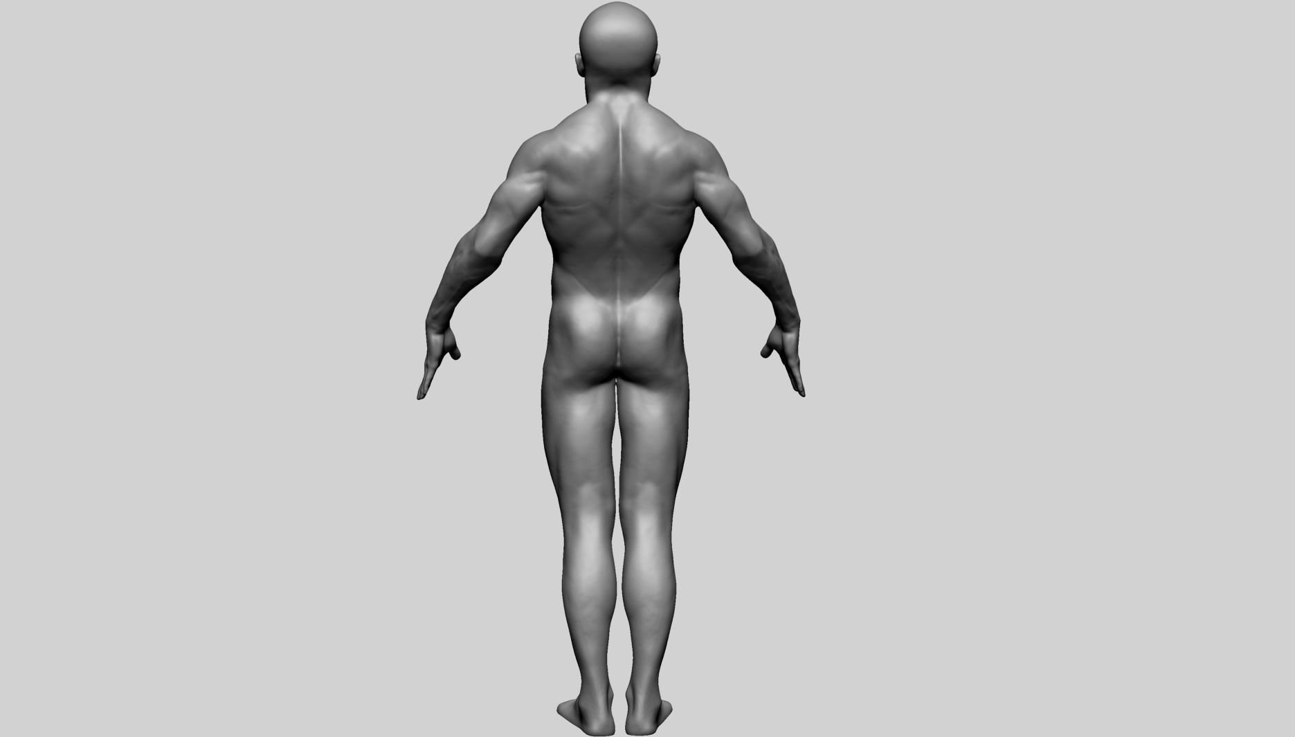 Male Anatomy G 3D model_5