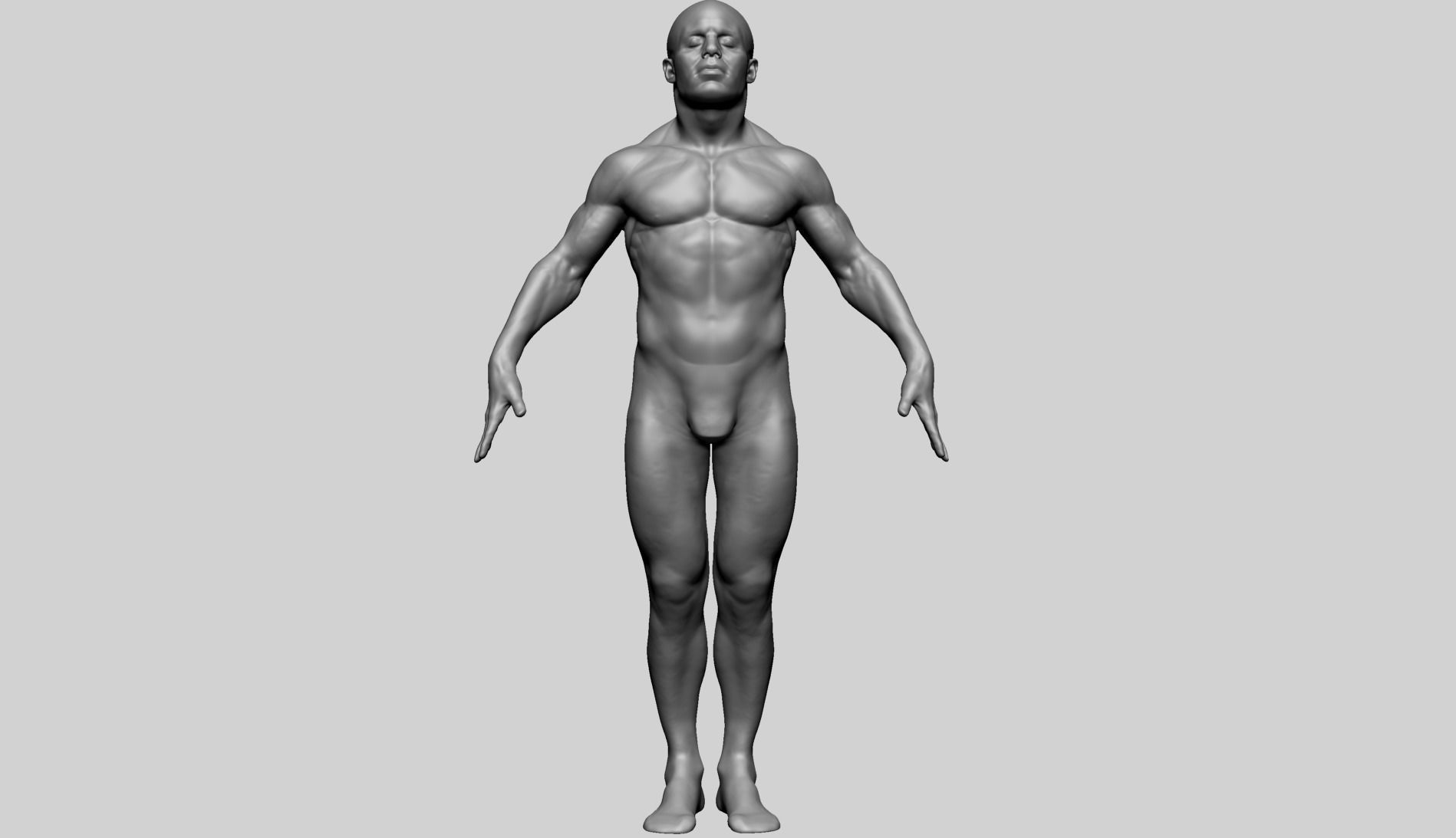 Male Anatomy G 3D model_9