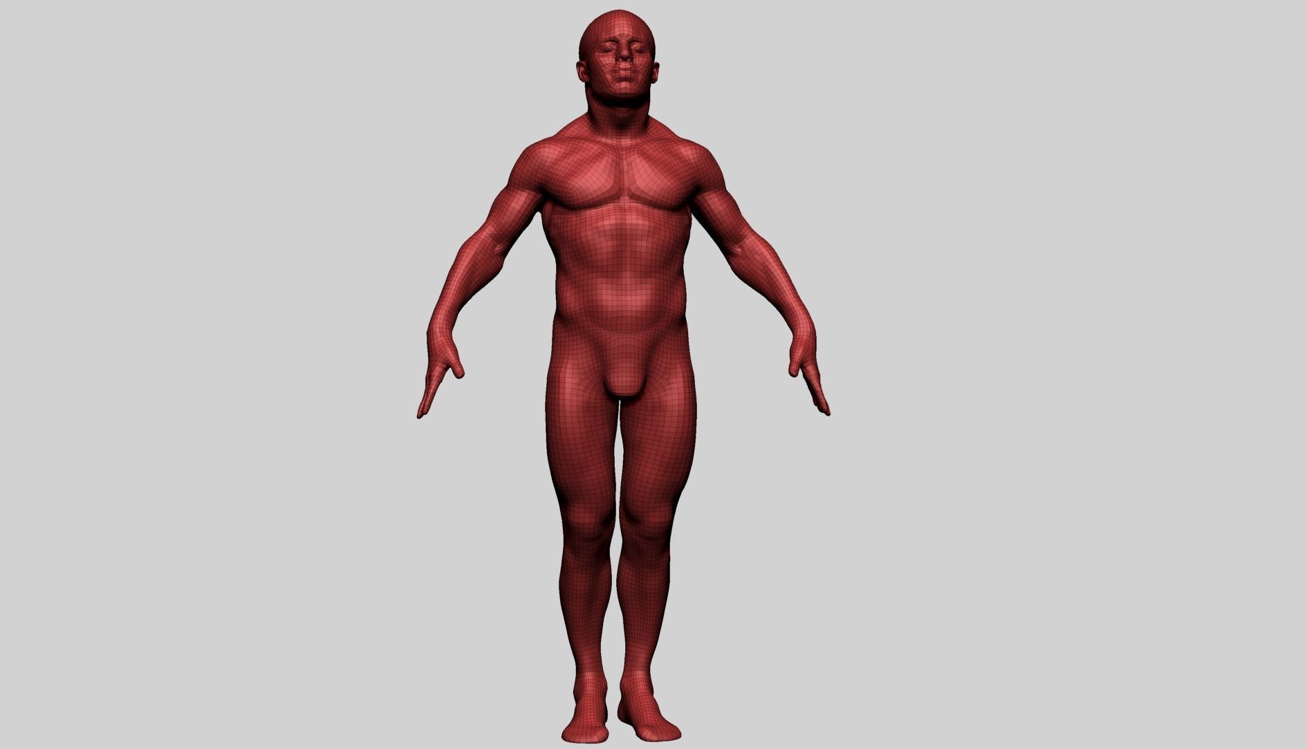 Male Anatomy G 3D model_13