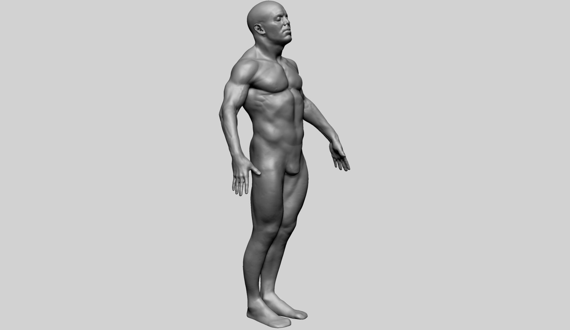 Male Anatomy G 3D model_2