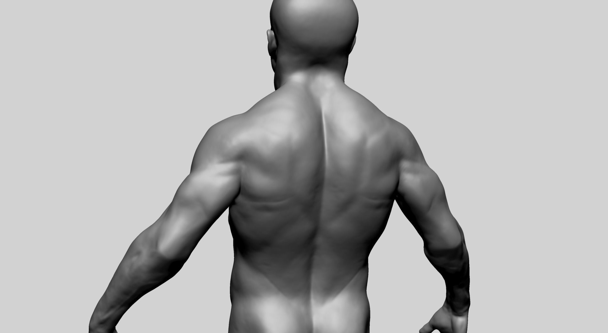 Male Anatomy G 3D model_12