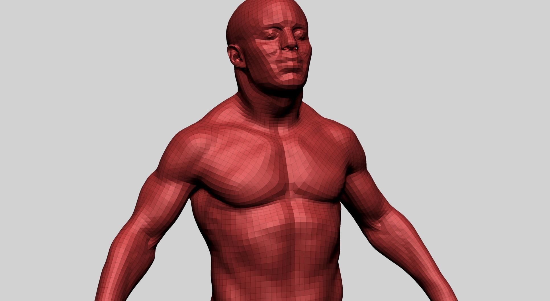 Male Anatomy G 3D model_14