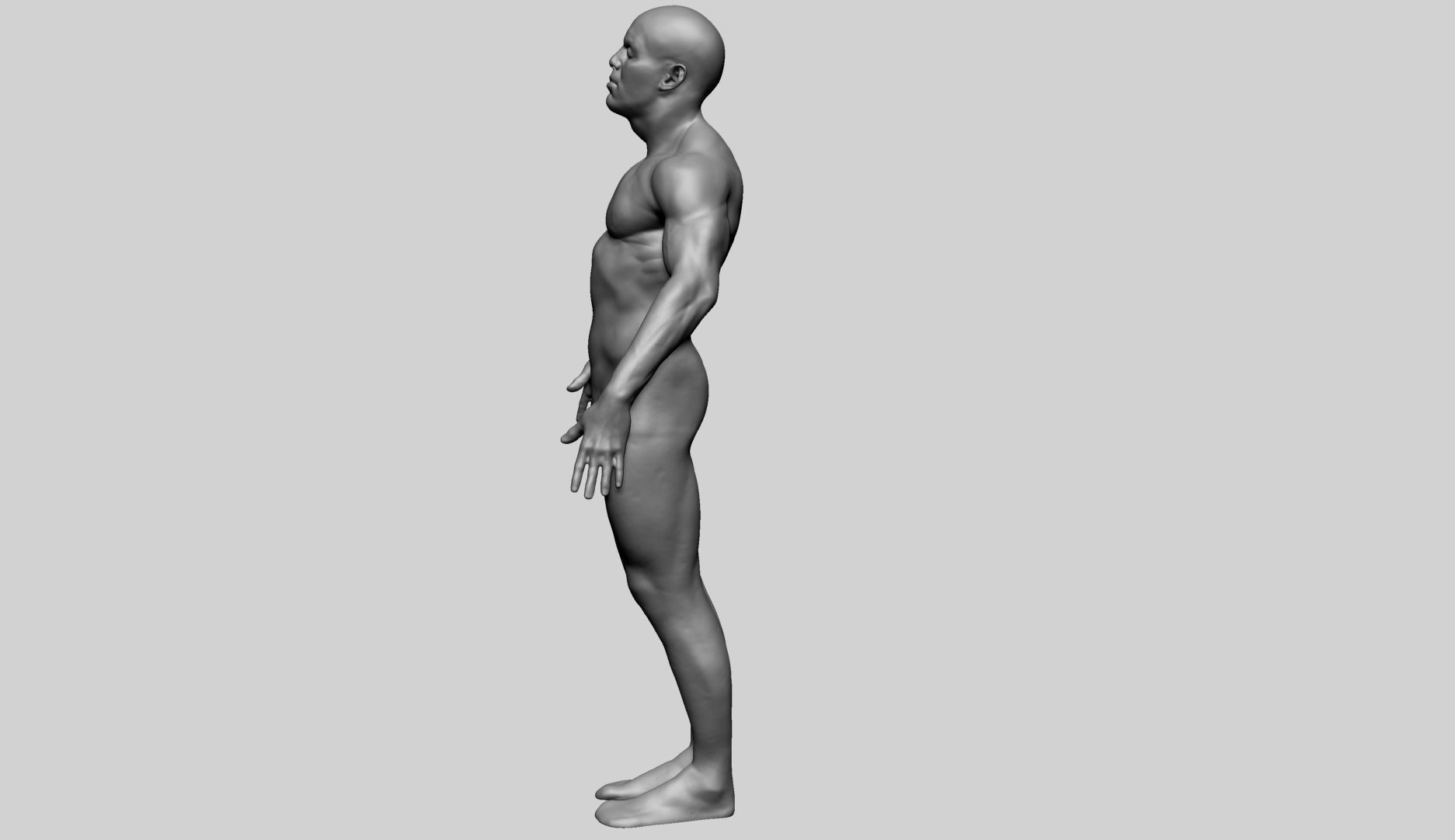 Male Anatomy G 3D model_7