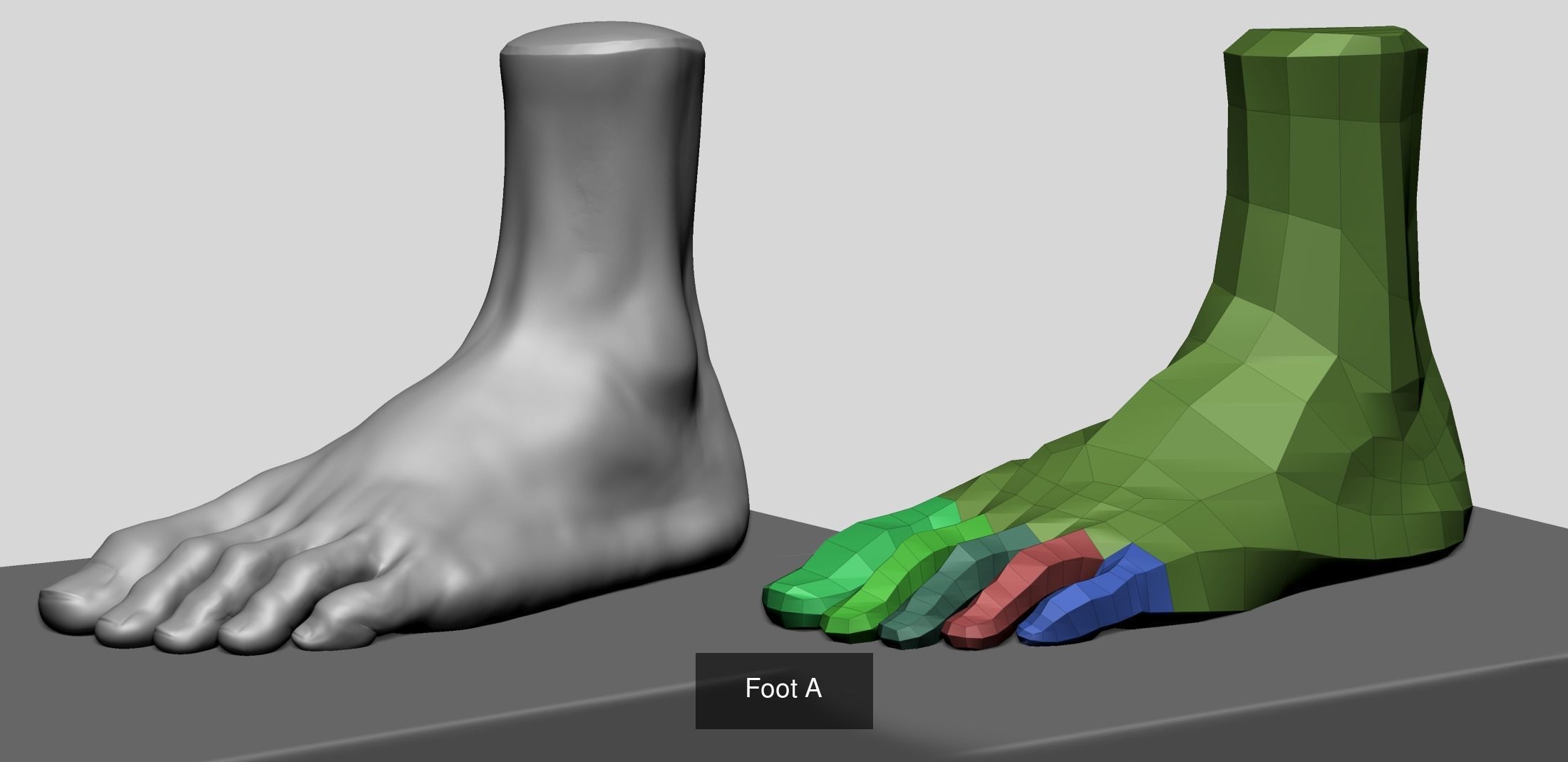 Male Anatomy Models E 3D Model Collection_7