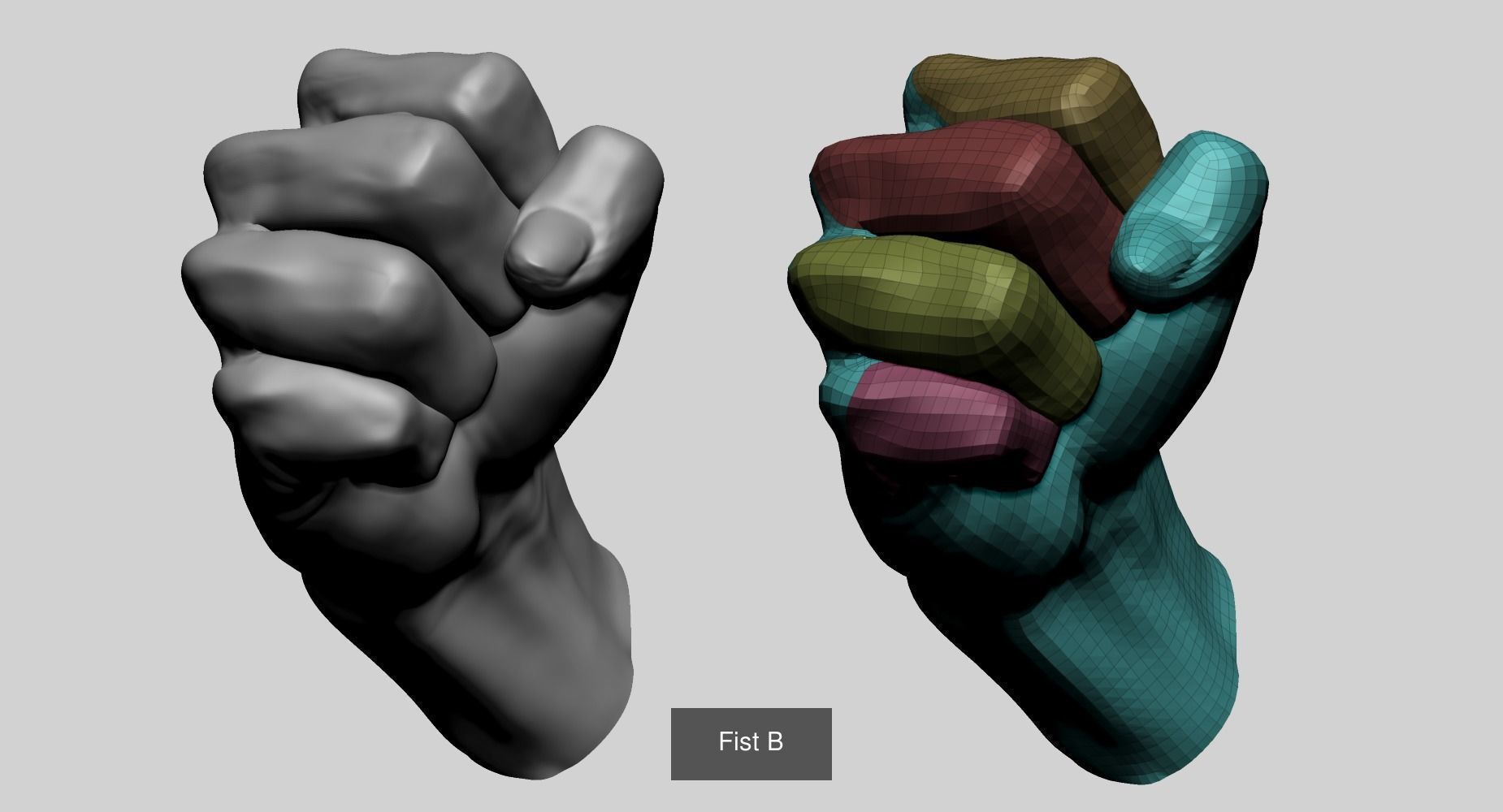 Male Anatomy Models E 3D Model Collection_6