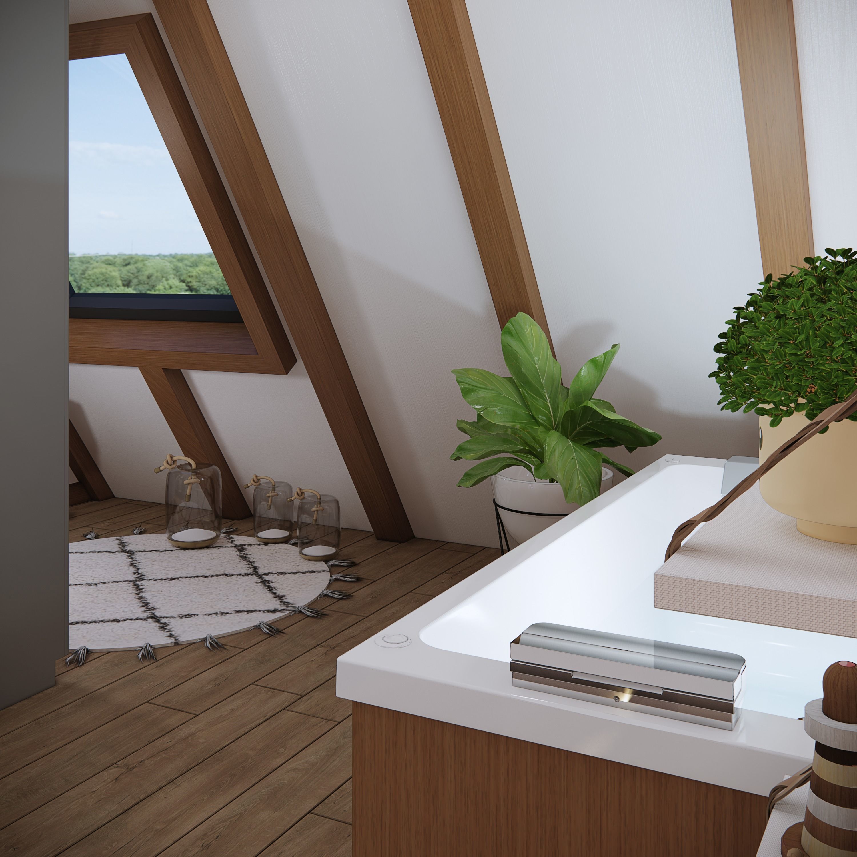 sketchup enscape render scene  Low-poly 3D model_28