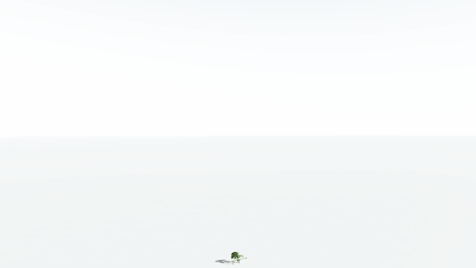 EVERYPlant Umbrella Thorn Acacia 1 --12 Models-- 3D model_22