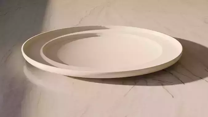 plate 3D model