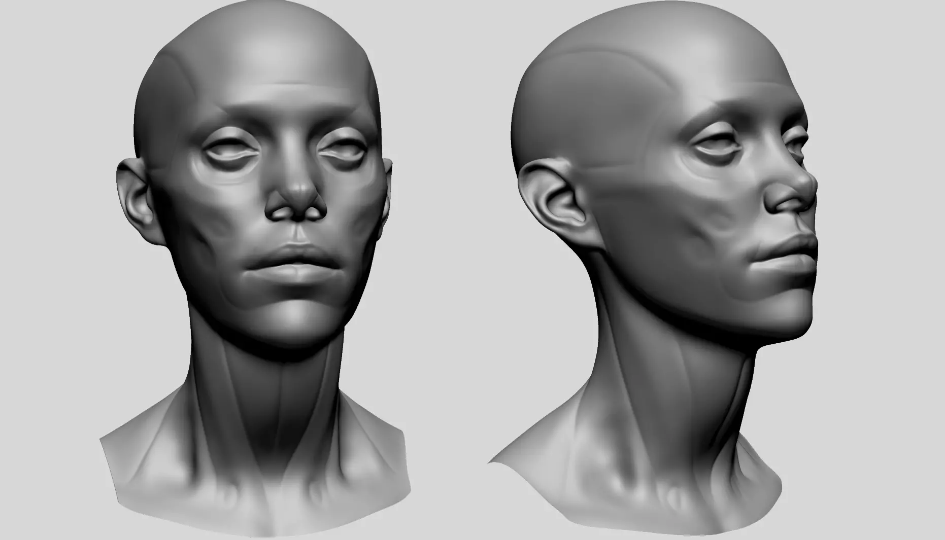 Female Head Anatomy B 3D model_0
