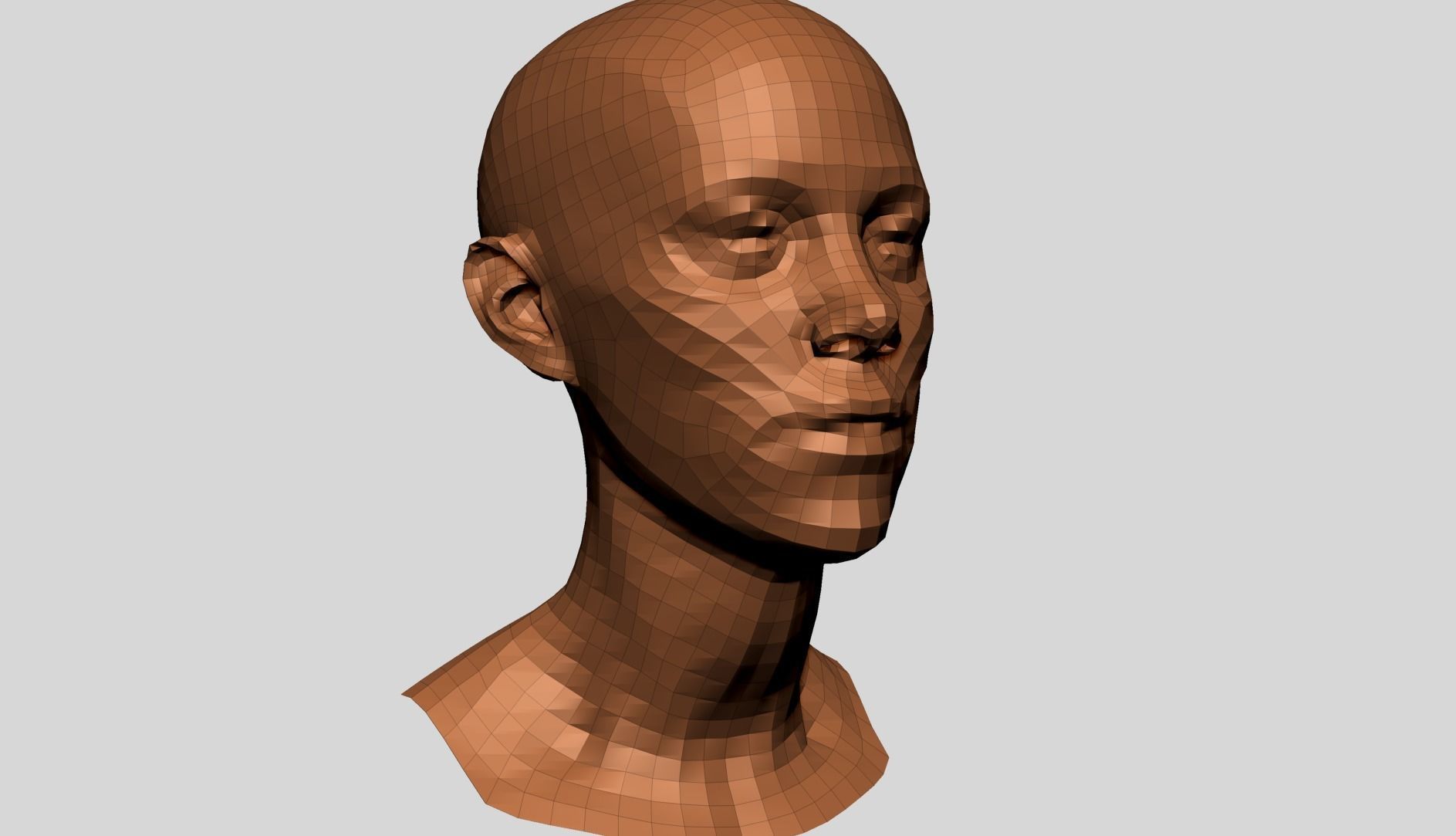 Female Head Anatomy B 3D model_11