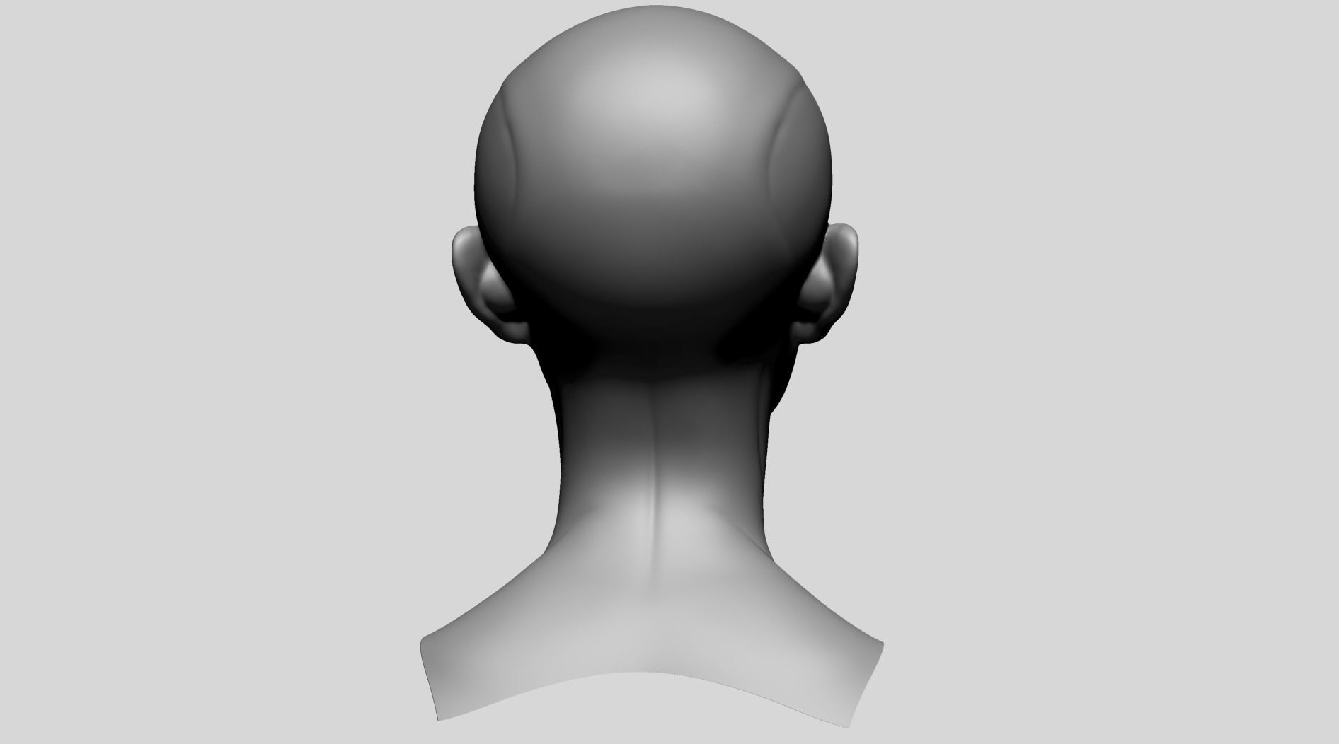 Female Head Anatomy B 3D model_4