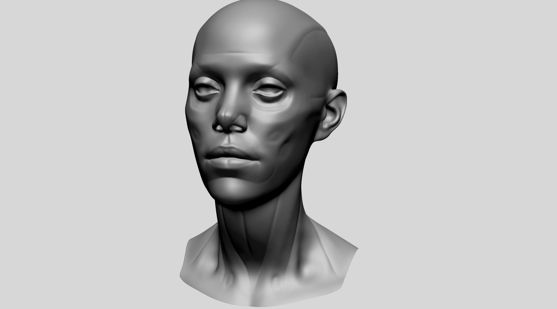 Female Head Anatomy B 3D model_7