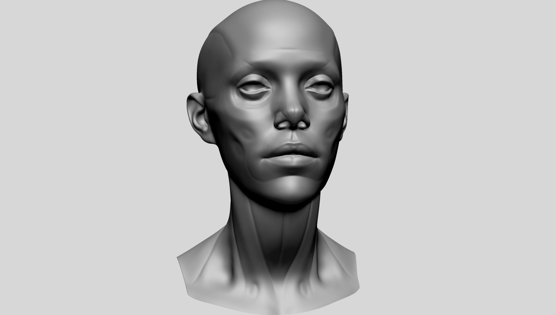 Female Head Anatomy B 3D model_1