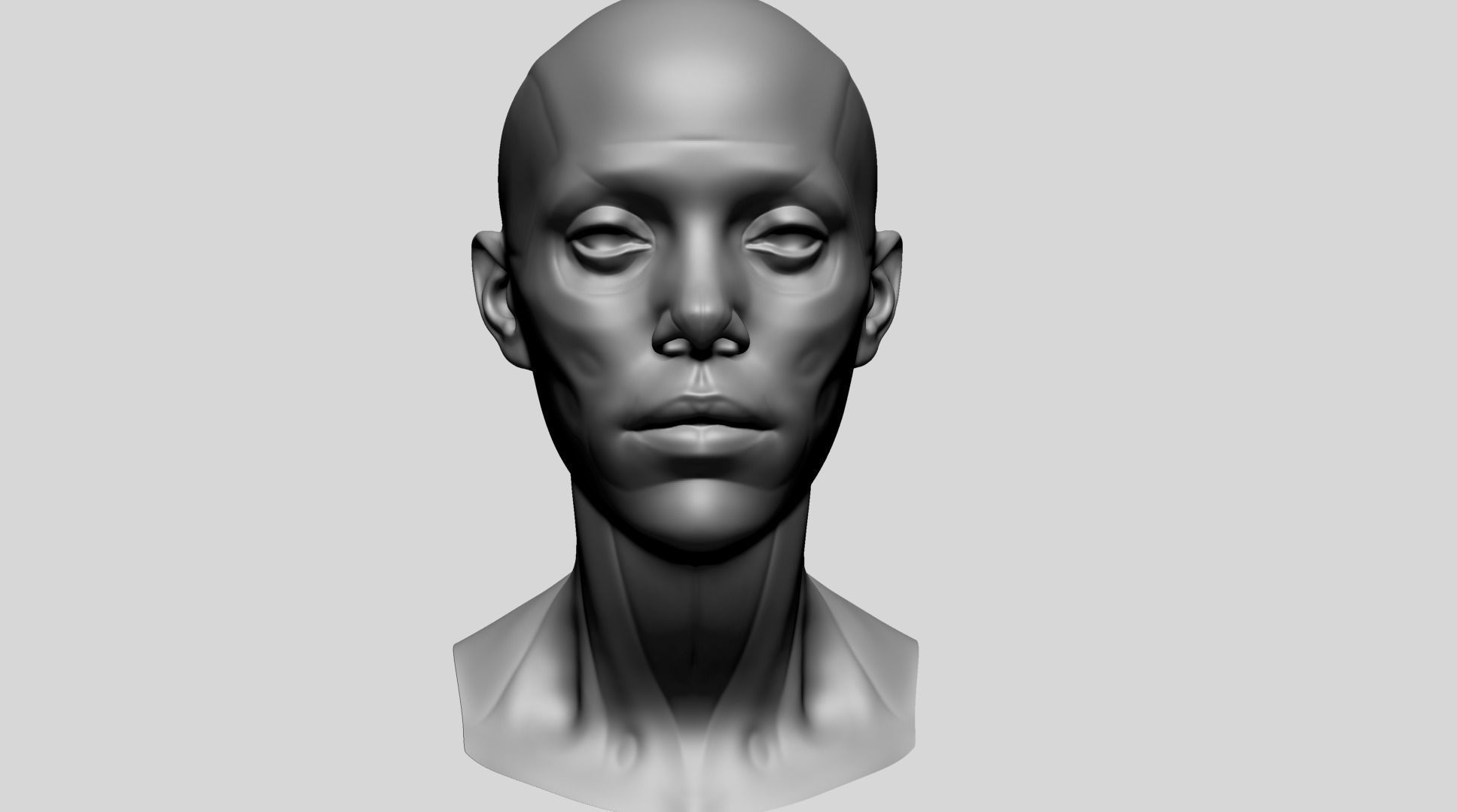 Female Head Anatomy B 3D model_8