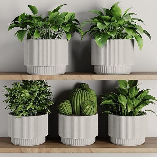 Plants on Shelf SetV9 3D model