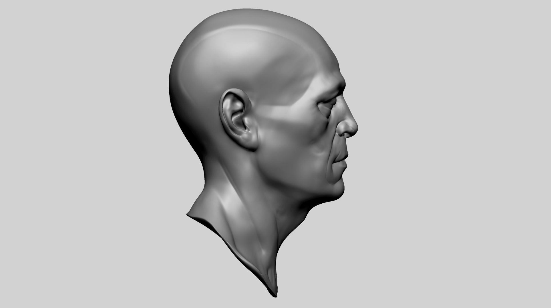 Male Head Anatomy B 3D model_3