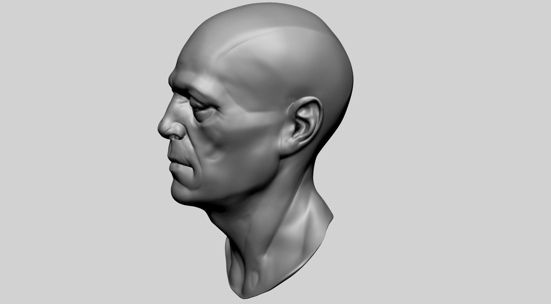 Male Head Anatomy B 3D model_6