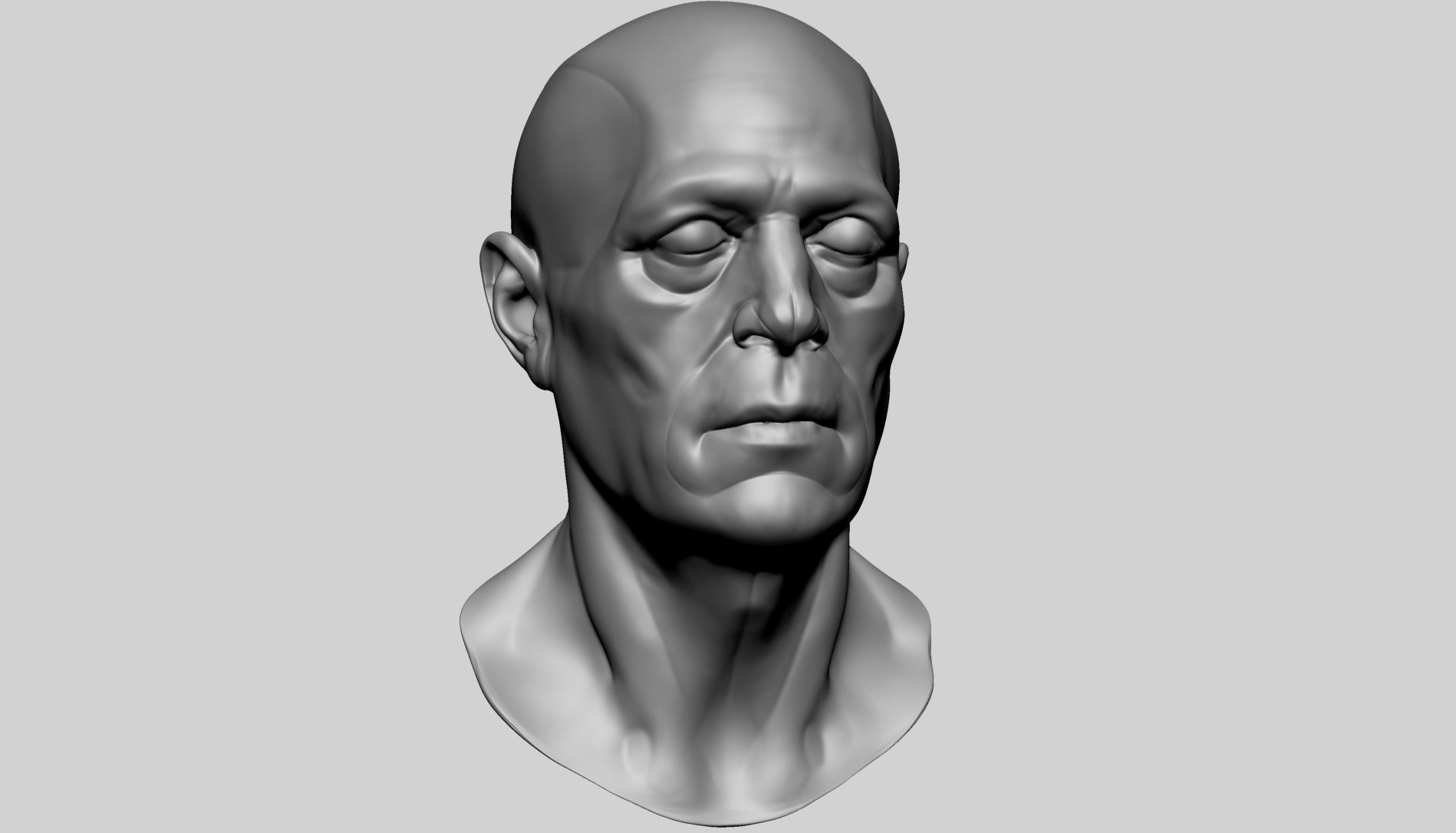 Male Head Anatomy B 3D model_1