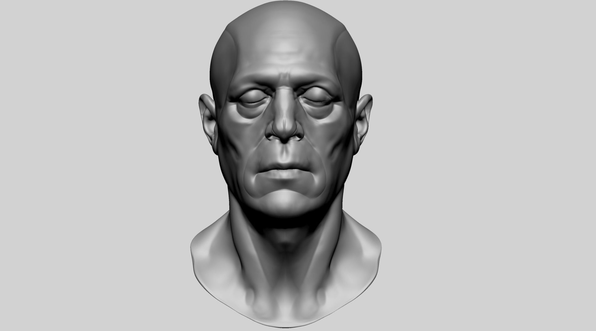 Male Head Anatomy B 3D model_7