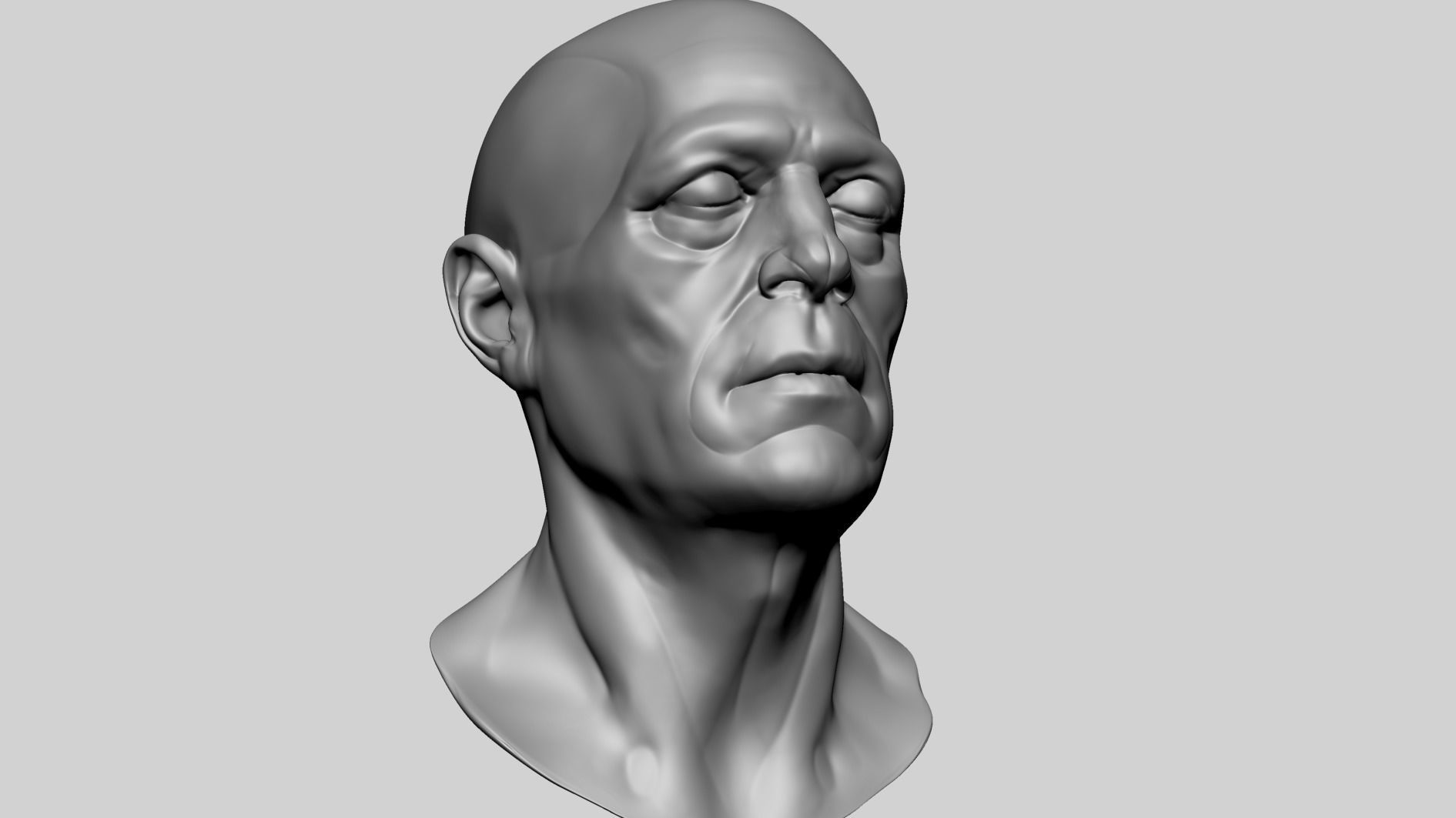 Male Head Anatomy B 3D model_8