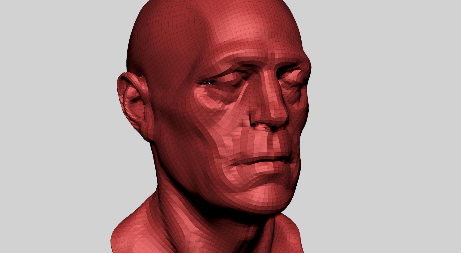 Male Head Anatomy B 3D model_10