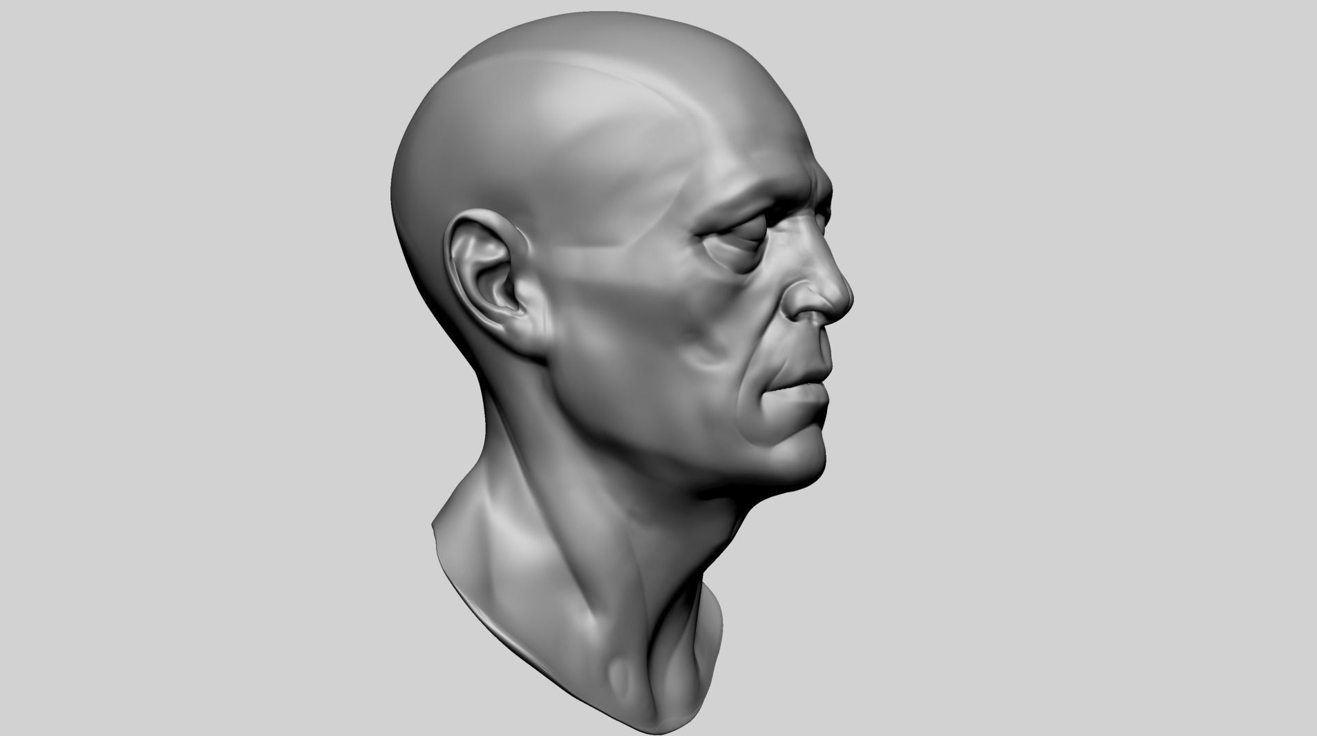 Male Head Anatomy B 3D model_2